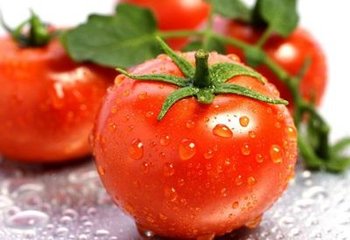 西红柿生吃好还是熟吃好？