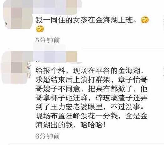 网曝章子怡哥哥大闹求婚现场 伤到王力宏娇妻