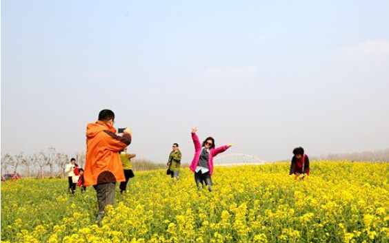 连云港云台集约发展生态旅游