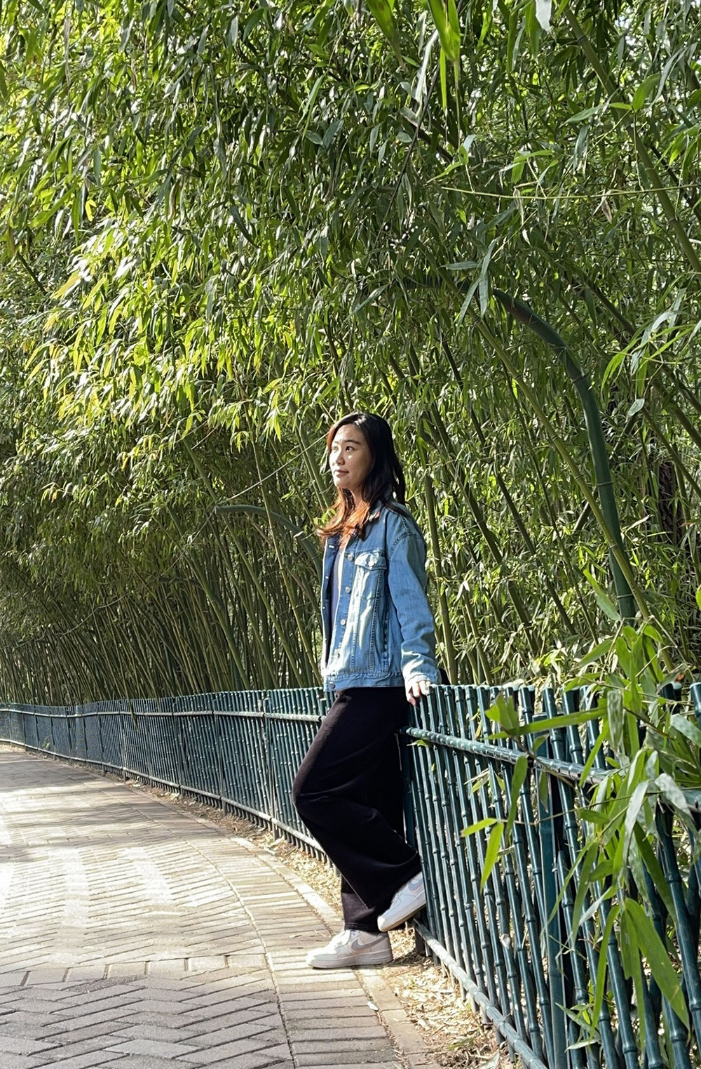 疫情期间北京紫竹院公园的一堂摄影课