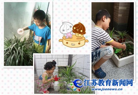 如皋丁堰镇幼儿园：动植物的别样暑假（图）