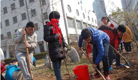 连云港解放路小学植树环保：凝聚绿色心灵 实践绿色行动