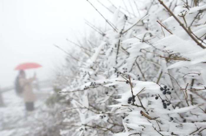 连云港花果山玉女峰迎来降雪