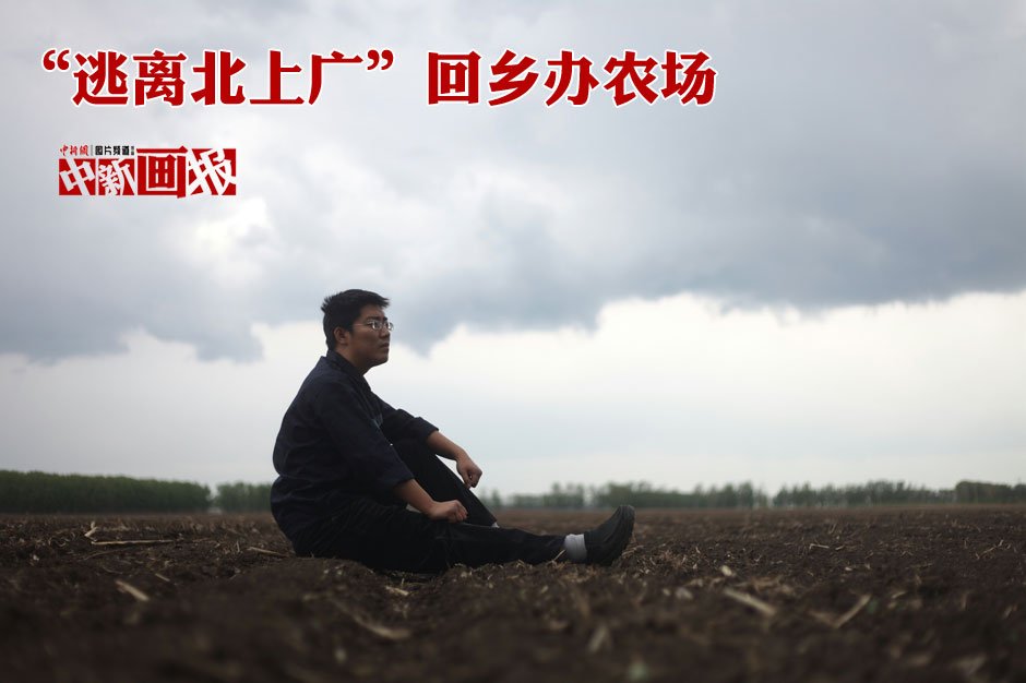图片故事：“逃离北上广” 回乡办农场