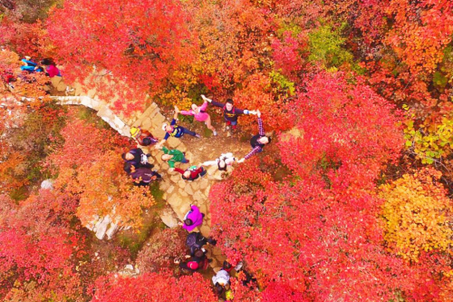 红叶节达人招募令 | 在这里拍照绝对能够称霸朋友圈C位