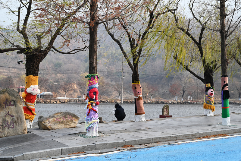 连云港：花果山大树集体穿上了“猴哥牌”毛衣