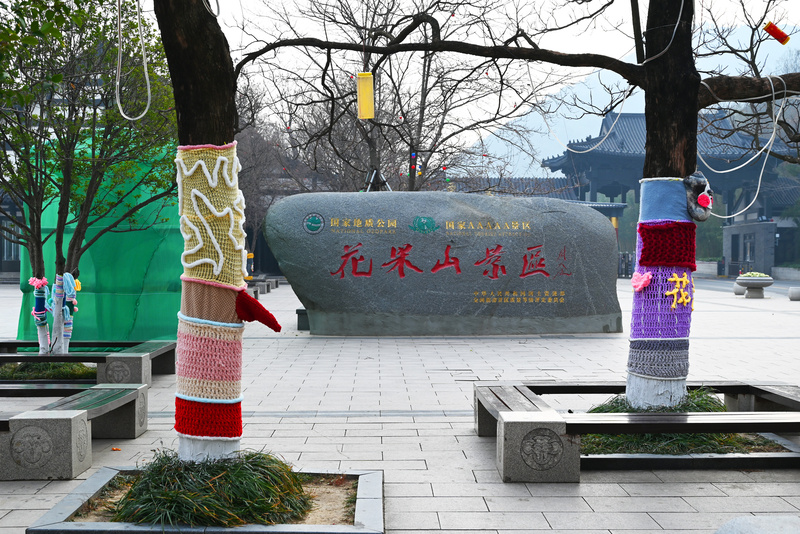 连云港：花果山大树集体穿上了“猴哥牌”毛衣