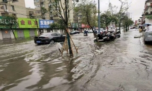 从“雨天绕路”到“一路畅通” 连云港巨龙路改造见证民生温度